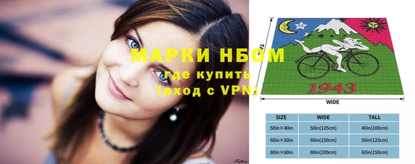 меф Ельня