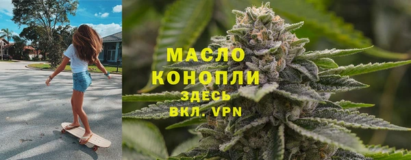 меф Ельня