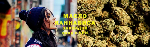 меф Ельня