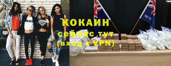 меф Ельня